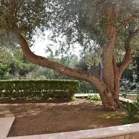 Lu Santa Cesarea Terme